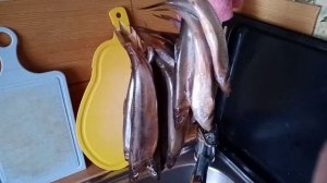 Солим корюшку.
