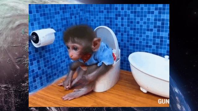 полюби школьные толчки