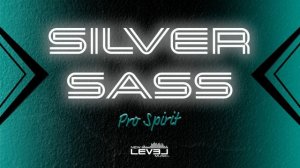 Pro Spirit Silver SASS 2022-2023