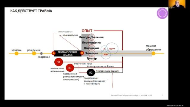 СТРАТЕГИЯ И ТЕХНИКИ РАБОТЫ С ПСИХОТРАВМОЙ смотреть онлайн
