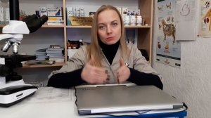 Глисты у котов и собак как травить с какого возраста и чем