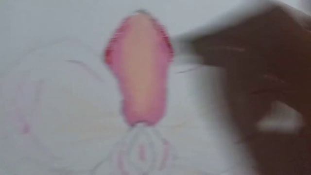 orquídea com giz pastel oleoso смотреть онлайн