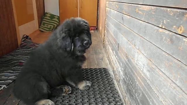 поел и надо моську помыть ))))) смотреть онлайн