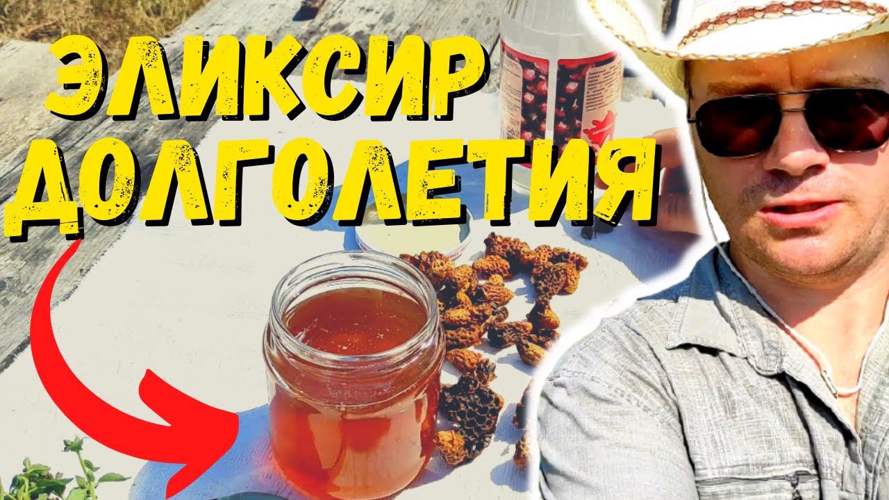 Эликсир здоровья и долголетия из МАТОЧНОГО МОЛОЧКА || Royal jelly #61