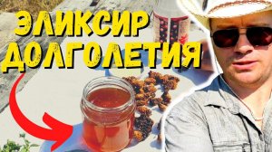Эликсир здоровья и долголетия из МАТОЧНОГО МОЛОЧКА || Royal jelly #61