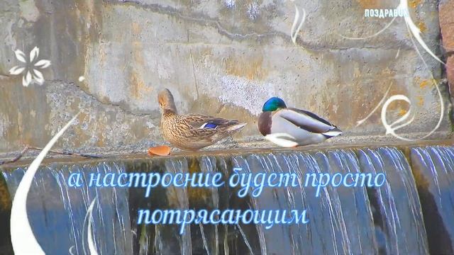 КАРАНТИНКА! Пожелание самого ценного в жизни - ЗДОРОВЬЯ! Пожелай всем родным и  близким здоровья!