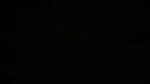 Цветение лилиЙ..mp4