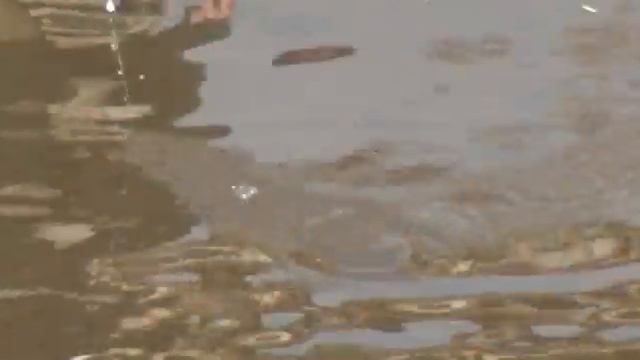 ? Набережная пацаны рыбаки парк тир лесосибирск смотреть онлайн