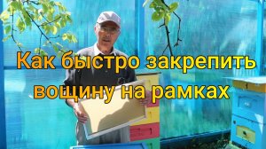 Как быстро закрепить вощину на рамках.