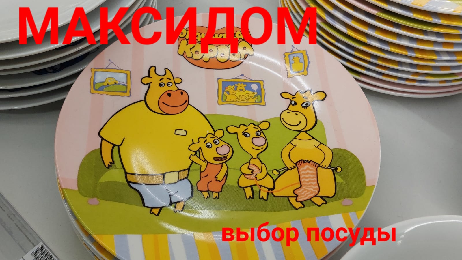 Максидом: выбор посуды
