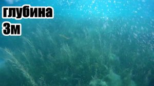 Ловля крабов в Черном море скаты!!!.