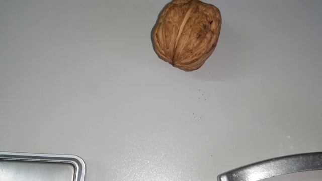 Грецкий орех гигант. смотреть онлайн