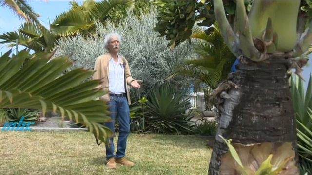 Mots et Ecrits 23 Septembre 2021 смотреть онлайн