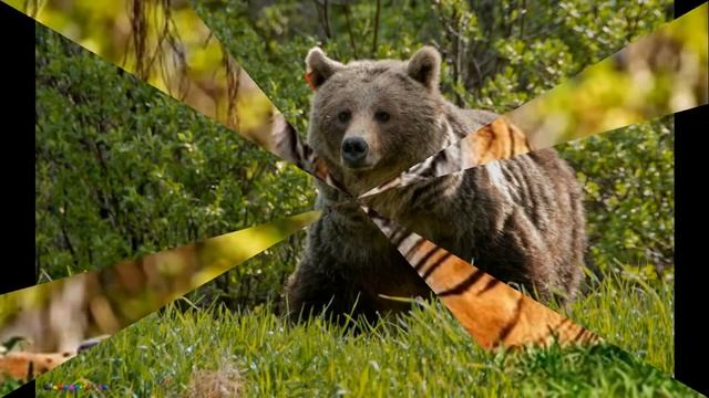 Голоса диких животных! смотреть онлайн