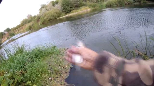 Сентябрь.Рыба наглеет! За рыбалку откусили 2 поводка!!!Ловля на поплавок на реке смотреть онлайн