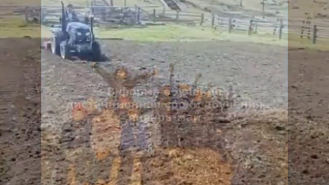 WhatsApp Video 2024-03-07 at 12.42.58