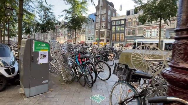 Our Trip to Amsterdam, Netherlands смотреть онлайн