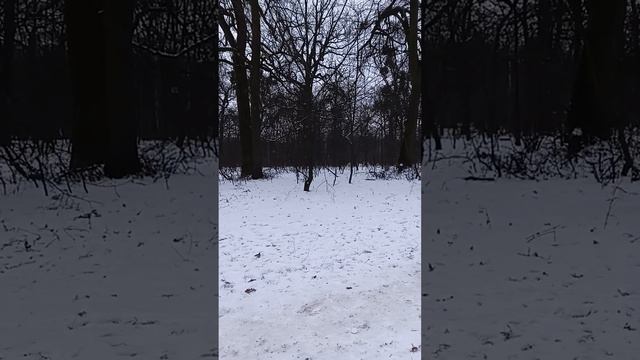 Человечность - что это?
