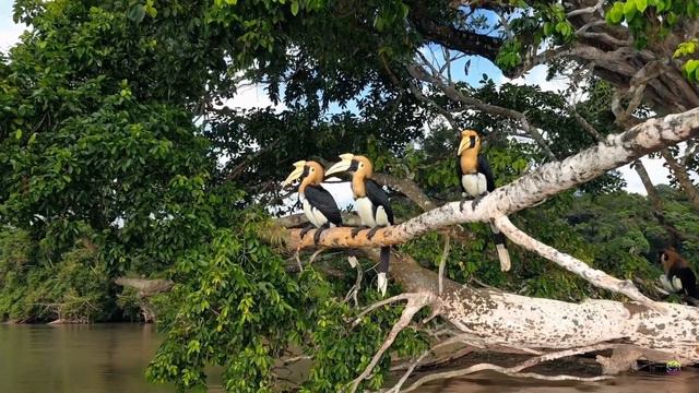 Sora Unveiled: The Dawn of AI Generated Cinema смотреть онлайн