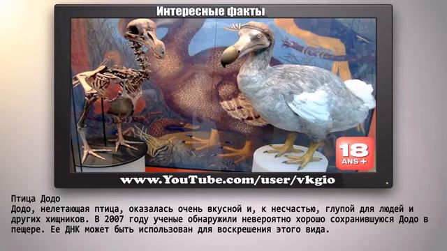 10 Вымерших животных  которых могут оживить   Интересные факты 1
