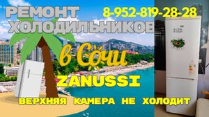 Холодильник Занусси не работает холодильная камера