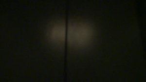 Электрический лифт (г. Лыткарино), V=1 м-с, г-п 400 кг (3)