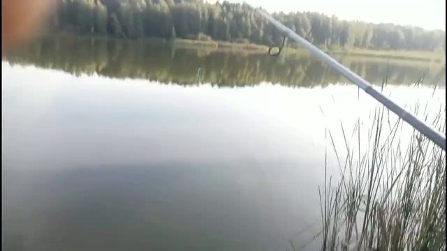 тест спиннинга Black Hole Hektor смотреть онлайн