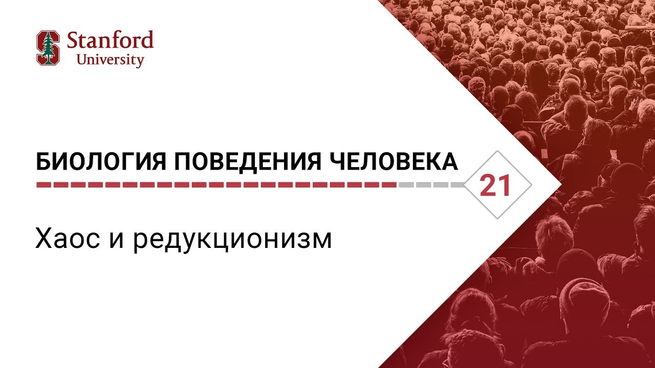 Биология поведения человека_ Лекция #21. Хаос и редукционизм [Роберт Сапольски, 2010. Стэнфорд]