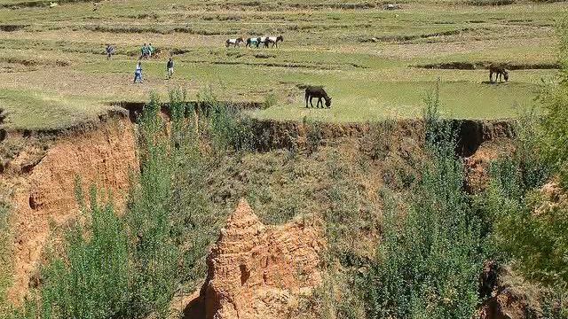 7P8ID Лесото смотреть онлайн