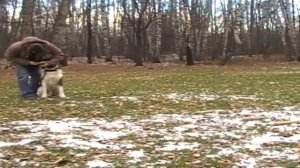 Выборка вещи (ЗКС, подготовка к экзамену)