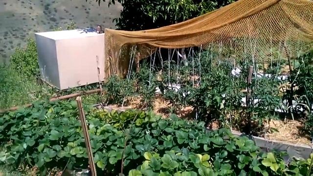 Высокие грядки смотреть онлайн