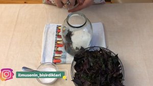 Qışa Hazırlıq: Reyhan kompotu