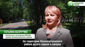 Как ведется уход за зелеными насаждениями