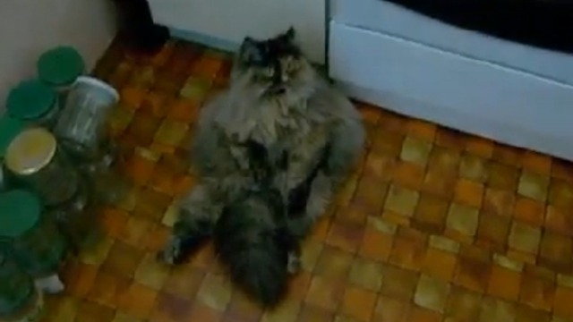 Хозяюшка  