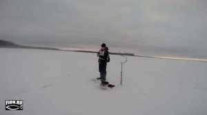 Техника ловли окуня на блесну от Михаила Горохова (ПКР)