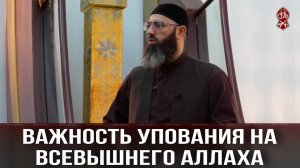 Важность упования на Всевышнего Аллаха