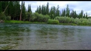 Бешеный тувинский клев. Малый Енисей. Билин. Тыва. Рыбалка на хариуса. Ловим ленка