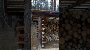 Дровник из дров. Строим дом в лесу всей семьей.