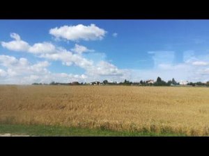 Зарайск. "Русь моя" - Гриша Петров и Игорь Кибирев