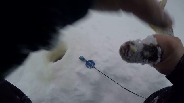 Окунь на мормышку в глубинках ЯНАО смотреть онлайн