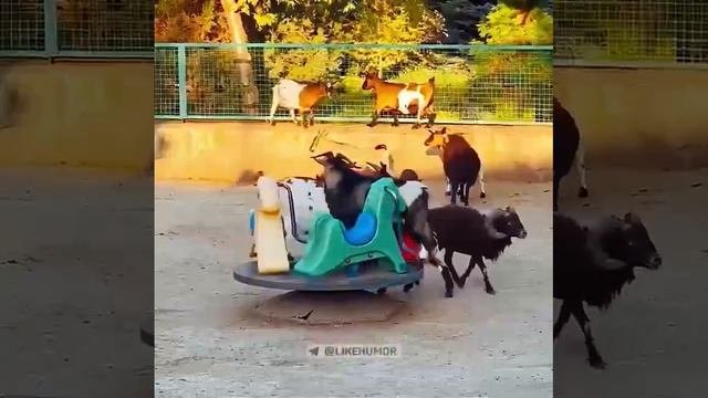 Когда встретила всех бывших в одном месте ???