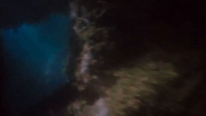 The Kings Daughter ( Mermaid ) Movie Songs 'Alive | I'm Still Breathing' With Funny & Sad Clip - Si