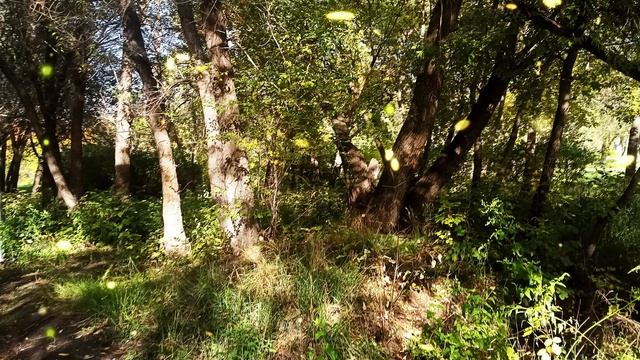 Бывшая свекровь пришла ко мне домой и потребовала денег. Она считает, что я должна заплатить... смотреть онлайн