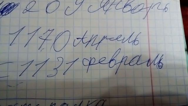Чем кормить собаку натуралка или влажный корм, сухой корм смотреть онлайн