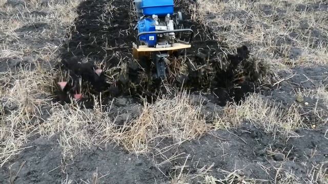 Мотоблок ЦЕЛИНА с двумя комплектами фрез " Гусиные лапки "