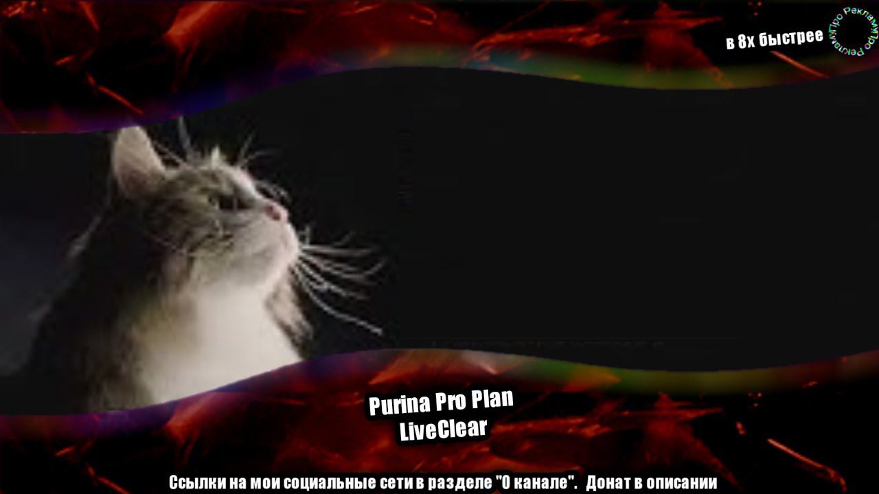 Purina Pro Plan — «LiveClear» в 8х быстрее смотреть онлайн
