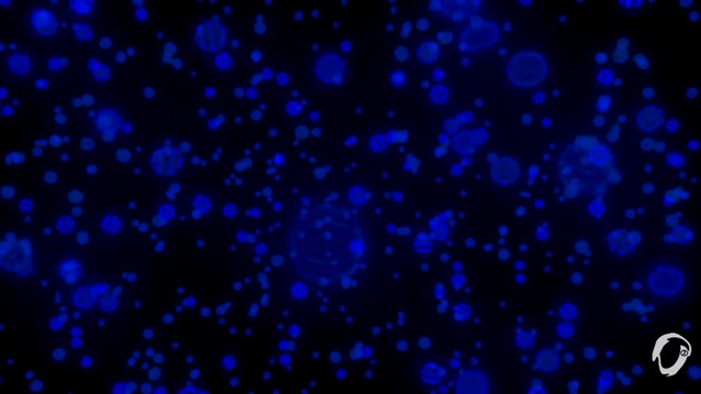 87676543 (Baseclips.ru смотреть онлайн