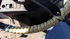 Б/у тракторы МТЗ 1221 - выживут или уйдут в чермет?