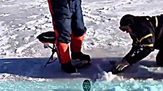 ЛУЧШАЯ ПОДБОРКА УЛЕТНЫХ ПРИКОЛОВ НА РЫБАЛКЕ! смотреть онлайн