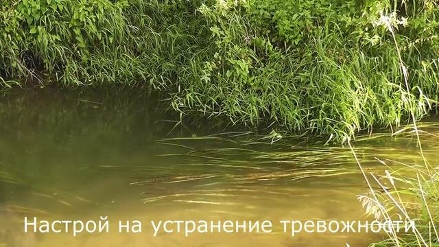 Для снятия тревожности